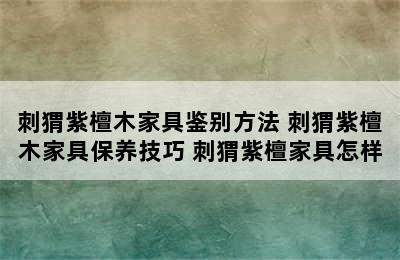 刺猬紫檀木家具鉴别方法 刺猬紫檀木家具保养技巧 刺猬紫檀家具怎样